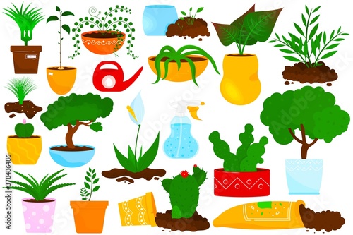 Vector set of potted house plants. Flowers and green home plants in pot. Objects for interior design. Water spray, soil, aloe, cactus