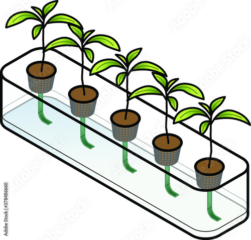 Diagram of a wick-fed hydroponics setup.
