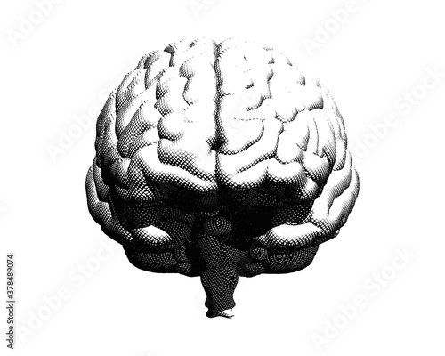 Engraving brain illustration isolated on white BG