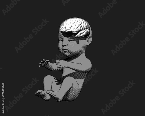 Human fetus with brain demostration on dark BG