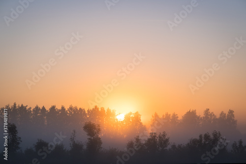 Orange sun rising behind the trees  a meadow covered with dense fog. The golden hour  misty morning. Beautiful misty sunrise landscape. Foggy morning with trees through the dense fog.
