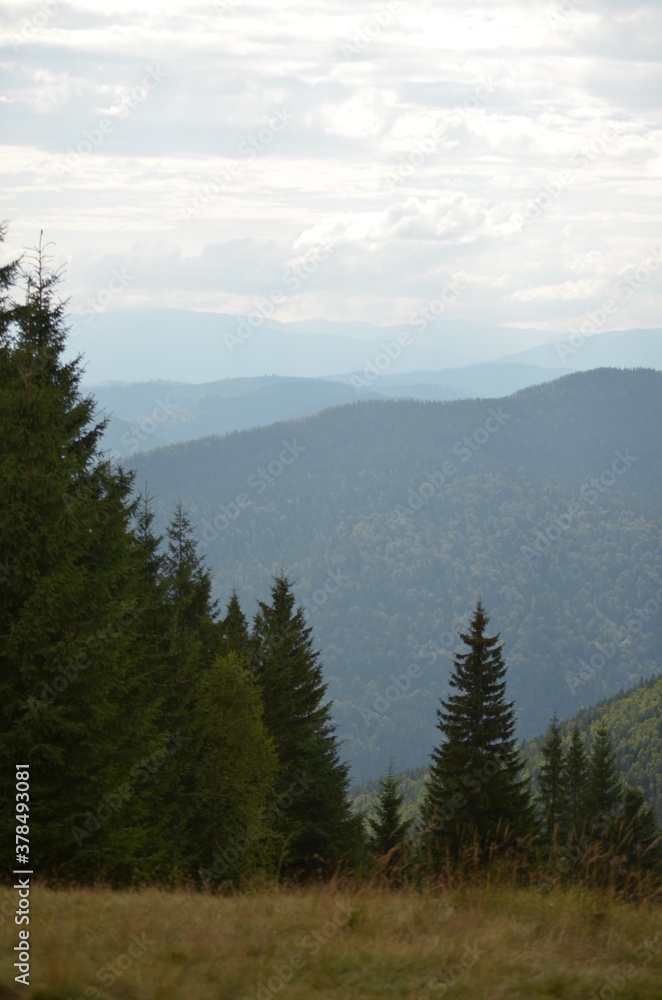 Obraz premium LANDSCAPE OF MOUNTAINS