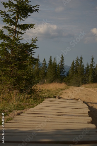 Road in the mountains
