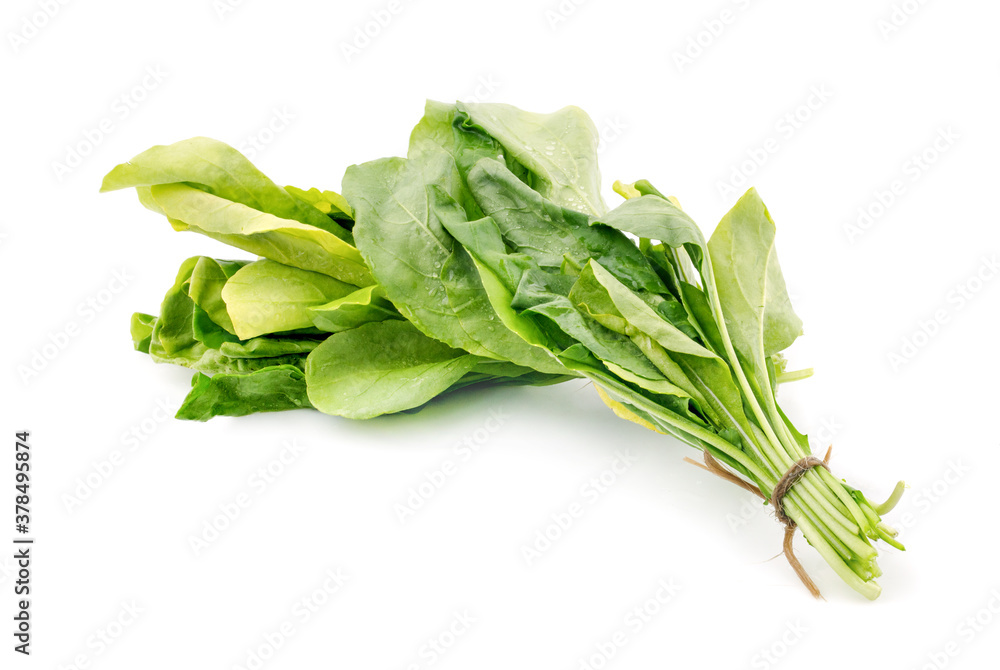 chinese kale, chinese broccoli isolated on white background.. chinese kale, chinese broccoli isolated on white background..