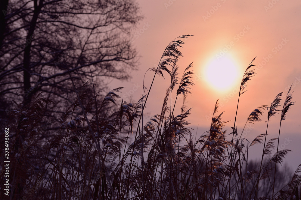Fototapeta premium autumn landscape lump at sunset