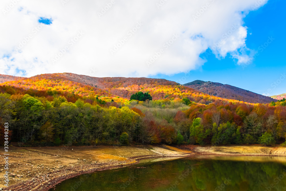 Colorful trees and leaves in autumn in the Montseny Natural Park in Barcelona, Spain