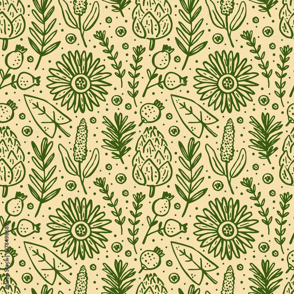 Herbs, forest plants. Seamless pattern, texture, background. Flower, branch, leaf, cone. Natural elements. Green vector design.