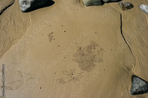 Sand Marks by little crabs on Queenland beach, Australia photo