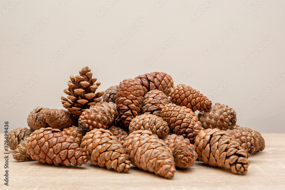 pine cones background pine cones background