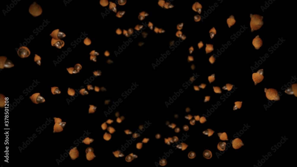 Flying many autumn acorns on black background. Symbol of fall, Oak nuts, Gifts of fall. 3D animation of acorn seeds rotating. Loop animation. Flying many autumn acorns on black background. Symbol of fall, Oak nuts, Gifts of fall. 3D animation of acorn seeds rotating. Loop animation.