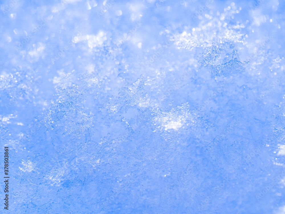 Obraz premium winter background