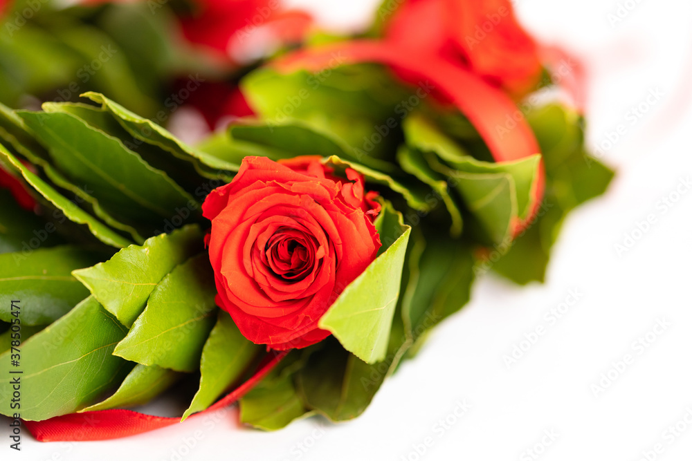 Corona di laurea con alloro e nastro rosso su sfondo bianco Corona di laurea con alloro e nastro rosso su sfondo bianco