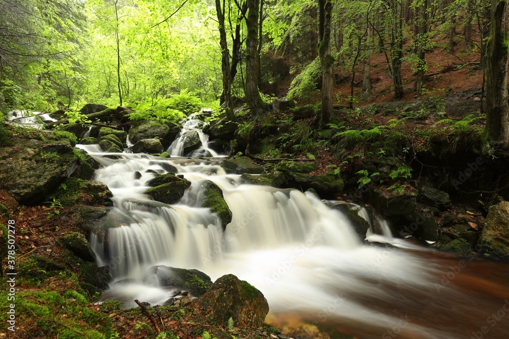 Forest stream flowing down from the mountains Forest stream flowing down from the mountains
