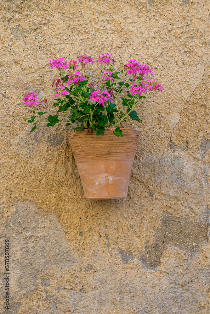 Blumenschmuck, Provence