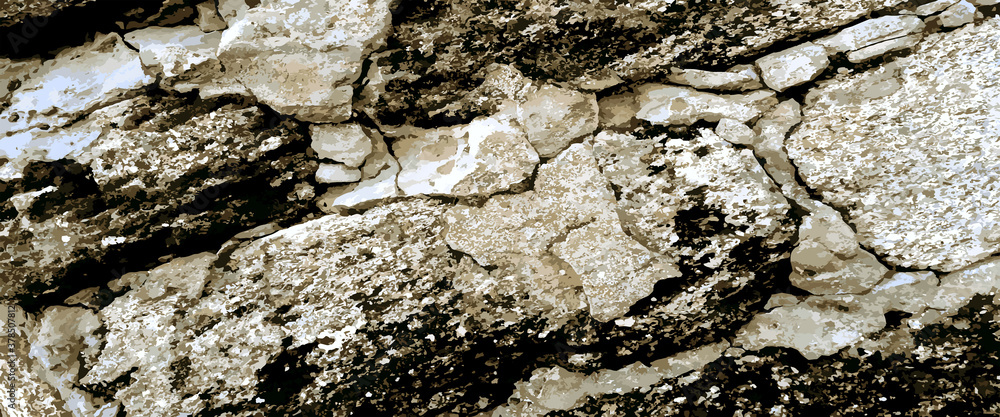 Fototapeta premium close up of a stone