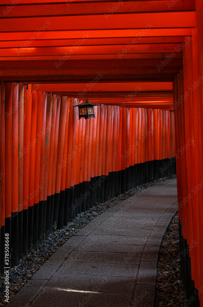 Fototapeta premium Red passage