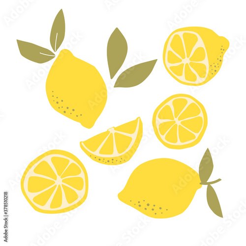 Abstract modern set of lemon fruit icon  isolated on white background. Vector hand drawn flat  illustration.   lemon logo design.