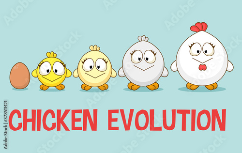 Cute Little Chicken in different ages growth stages. Cultivation of Chicken cartoon concept. Rooster evolution. Farm animal.