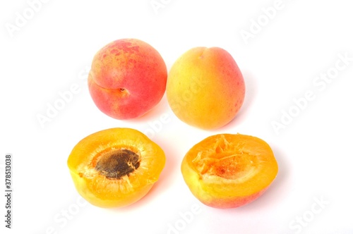 Apricot on white background