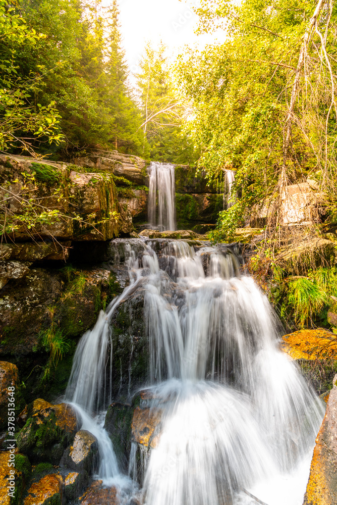 Wild Forest Waterfall