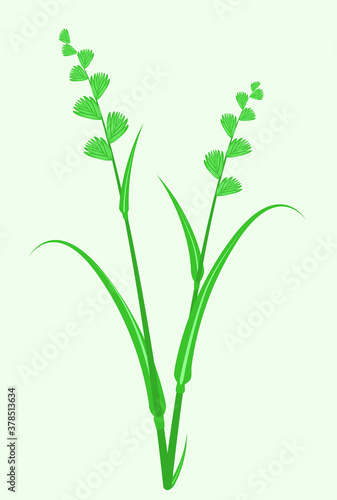 vector image of couch grass