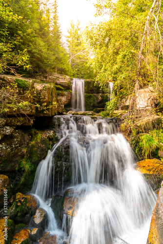 Fototapeta Naklejka Na Ścianę i Meble -  Wild Forest Waterfall