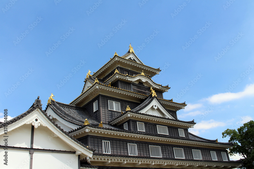 Roof of Okayama-jo or Okayama Castle Roof of Okayama-jo or Okayama Castle