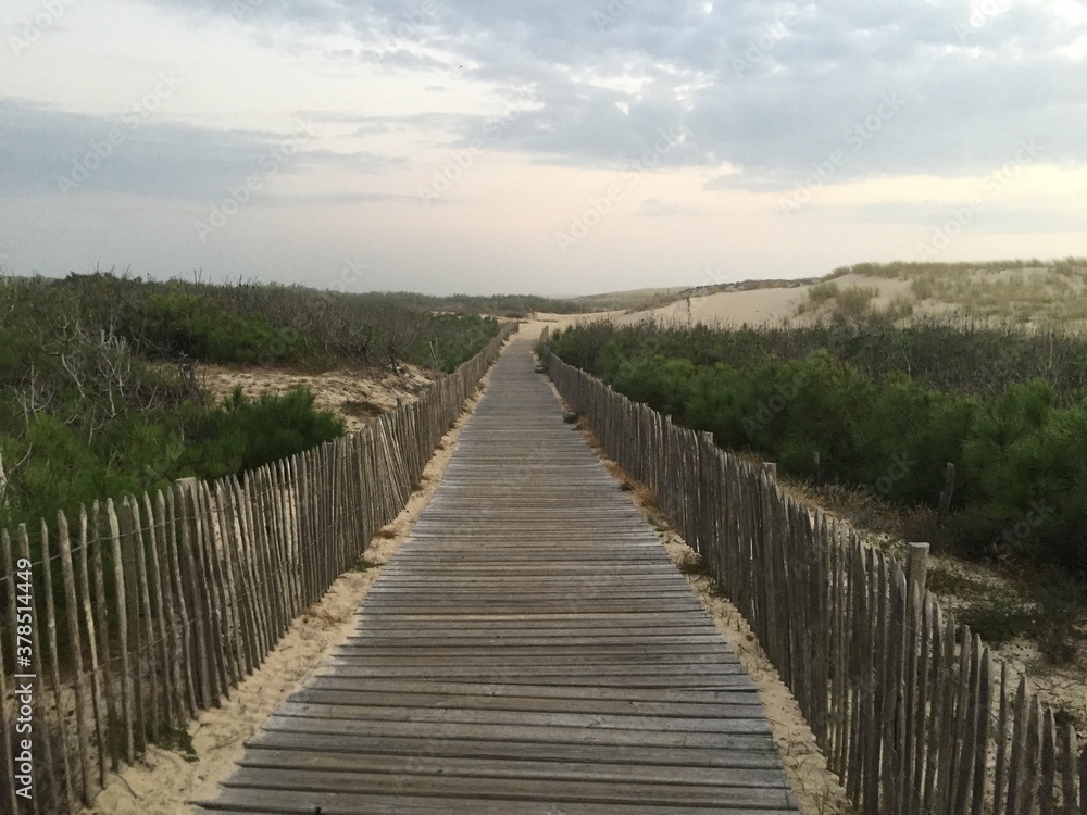 Strandspaziergang Strandspaziergang