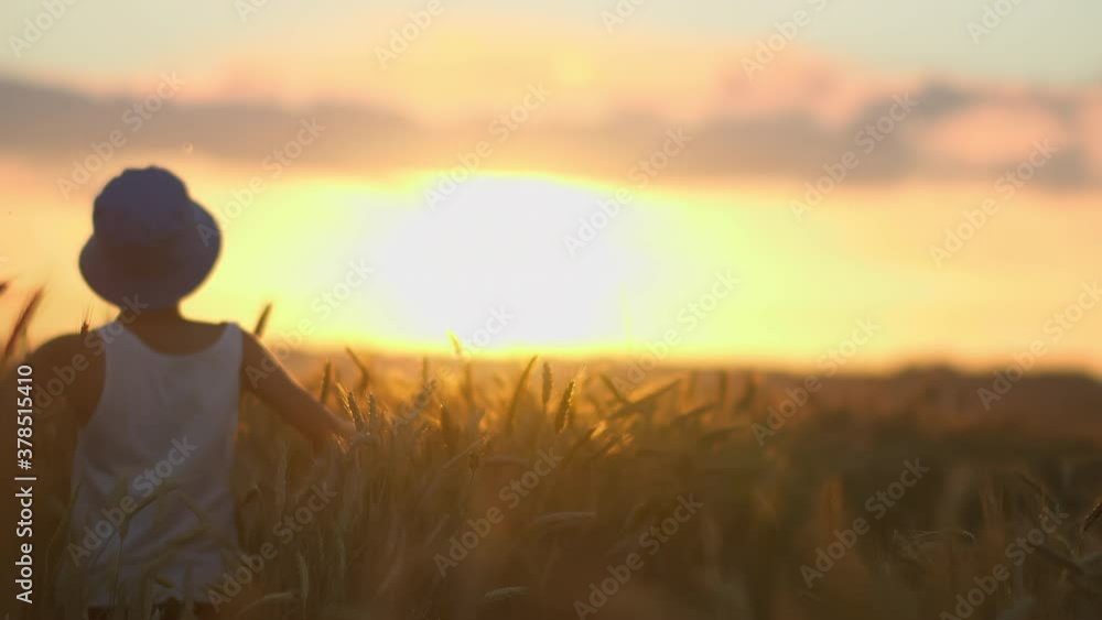 boy running through a golden wheat field at sunset, boy out of focus boy running through a golden wheat field at sunset, boy out of focus