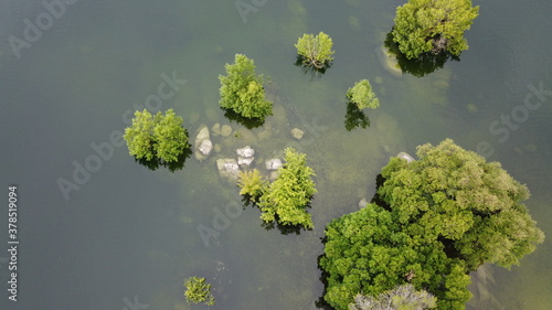 lake with trees in the water