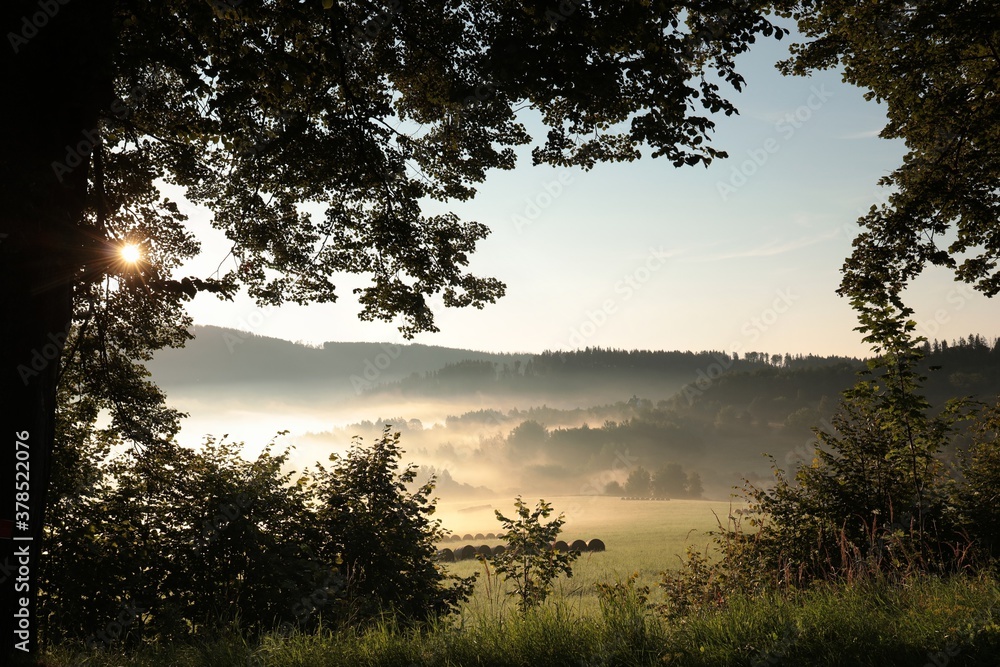 Fototapeta premium Rural landscape on a misty summer morning