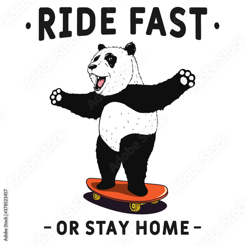 Panda rides on skateboard