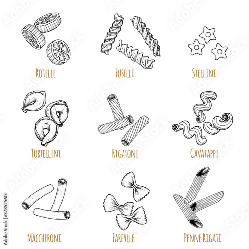 Hand drawn italian pasta set. Different types of traditional italian cuisine in sketch style with signs. Rotelle, fusilli, stellini, tortellini, maccheroni, farfalle, penne rigate.