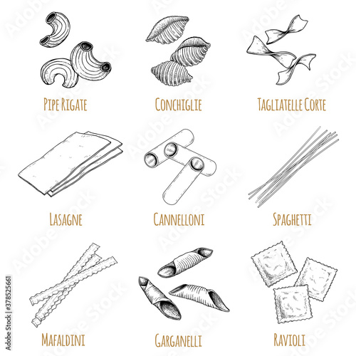 Hand drawn italian pasta set. Different types of traditional italian cuisine in sketch style with signs. Pipe rigate, conchiglie, tagliatelle corte, lasagne, cannelloni, spaghetti, mafaldini.