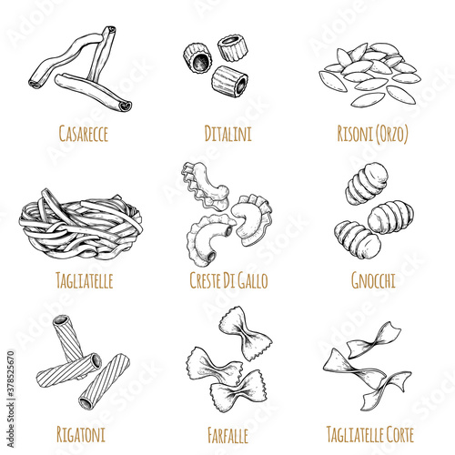 Hand drawn italian pasta set. Different types of traditional italian cuisine in sketch style with signs. Casarecce,  tagliatelle, creste di gallo, gnocchi, rigatoni, farfalle, tagliatelle corte.