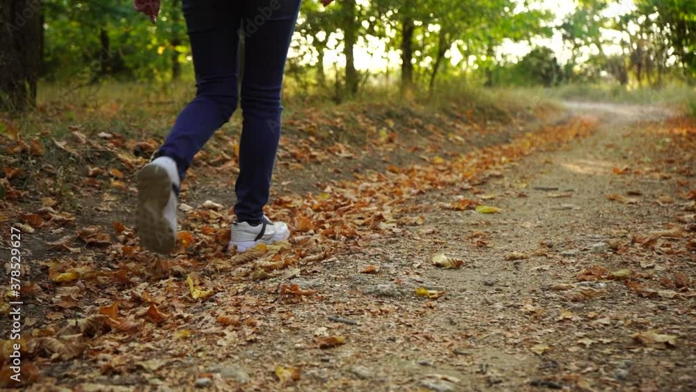 Woman walks in the autumn forest. Shoes close up Woman walks in the autumn forest. Shoes close up