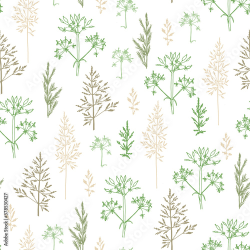 Seamless pattern of different types of field herbs and branches. For paper, covers, fabric, gift wrapping, wall painting, decorative interior design. Vector design.