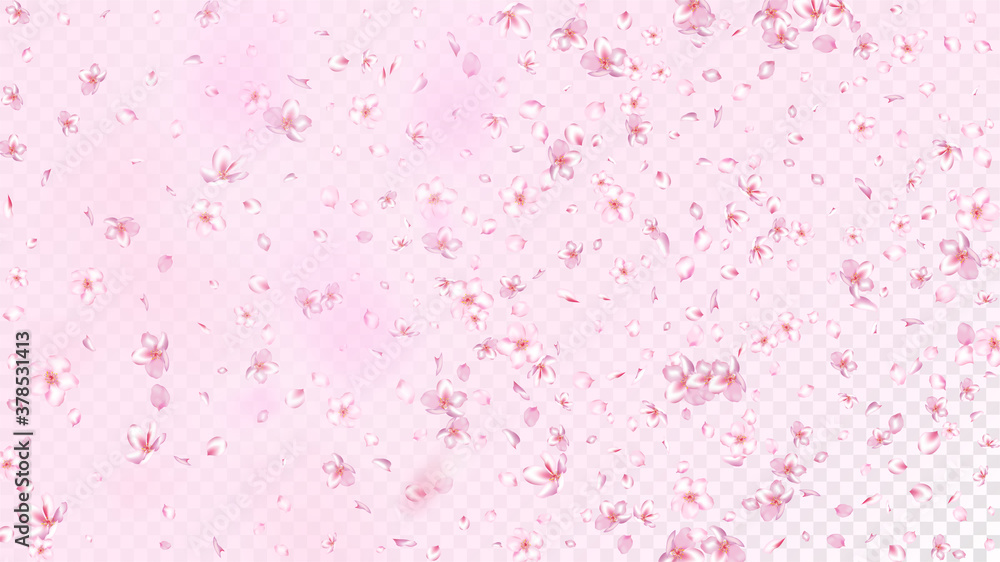 Nice Sakura Blossom Isolated Vector. Beautiful Blowing 3d Petals Wedding Frame. Japanese Blurred Flowers Wallpaper. Valentine, Mother's Day Tender Nice Sakura Blossom Isolated on Rose Nice Sakura Blossom Isolated Vector. Beautiful Blowing 3d Petals Wedding Frame. Japanese Blurred Flowers Wallpaper. Valentine, Mother's Day Tender Nice Sakura Blossom Isolated on Rose