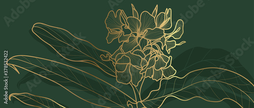 Luxury golden art deco wallpaper. Floral pattern with golden split-leaf Philodendron plant with monstera plant line art on green emerald color background. Vector illustration.