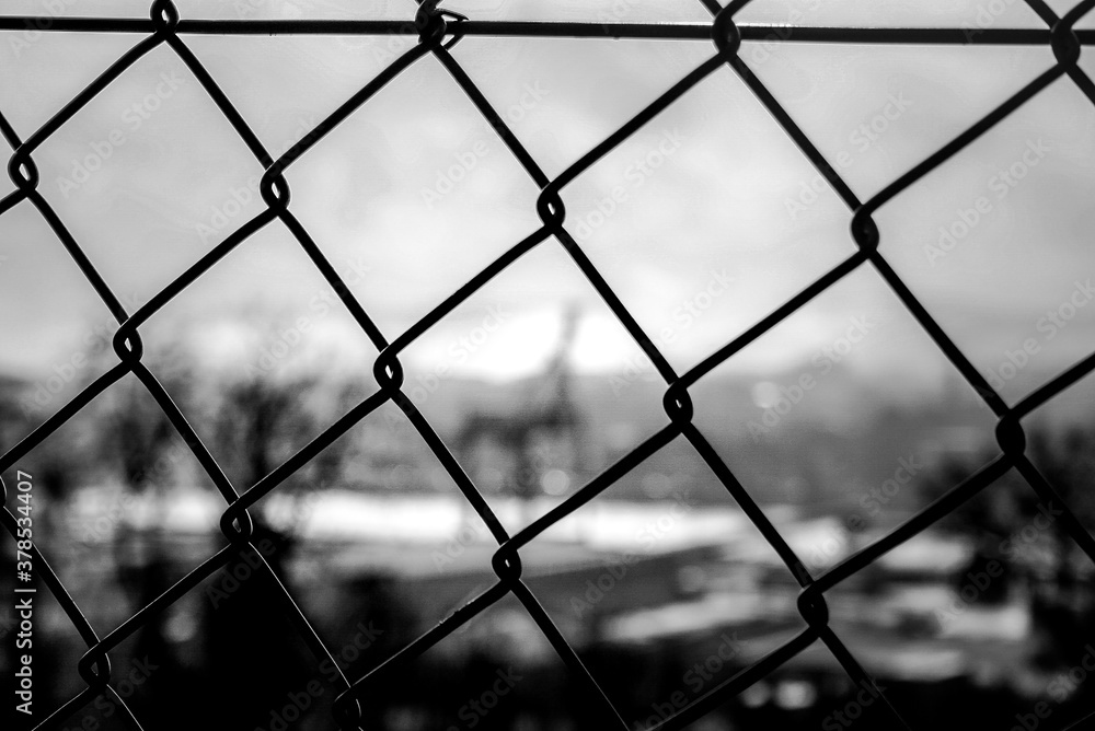 Fototapeta premium Fence