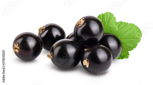 black currant with leaves isolated on white background with clipping path and full depth of field