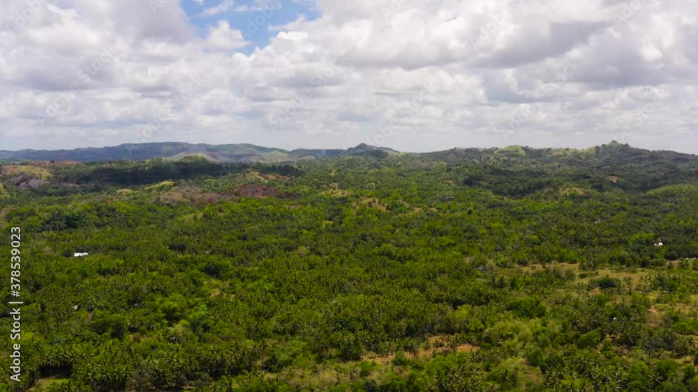 Mountains covered rainforest, trees and blue sky with clouds. Bohol,Philippines. Mountains covered rainforest, trees and blue sky with clouds. Bohol,Philippines.