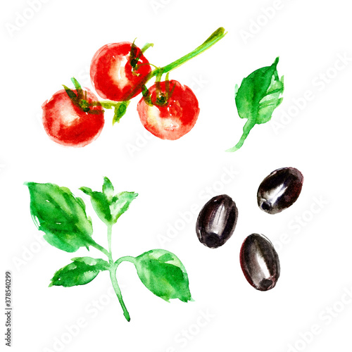 Hand drawn watercolor food illustration with tomatoes, olives, basil