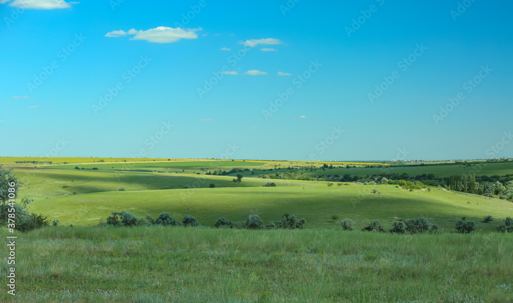 Beautiful landscape with green grass on sunny day Beautiful landscape with green grass on sunny day