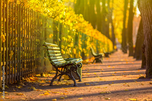 Beautiful alley in the autumn Park. Green benches near the fence and colorful yellow foliage on the bushes. Fallen leaves on the walking paths in the garden. Fall season. photo