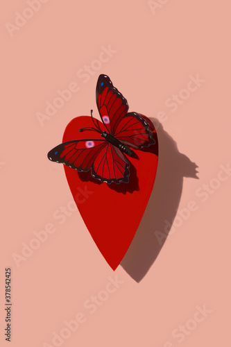 Corazon rojo con mariposa posada sobre el simbolizando el amor y las mariposas en el estomago, fondo ideal para san valentin photo