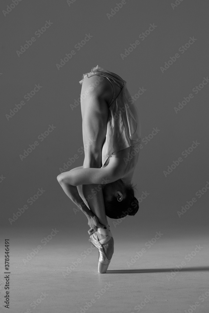 Naklejka premium Young beautiful ballet dancer is posing in studio