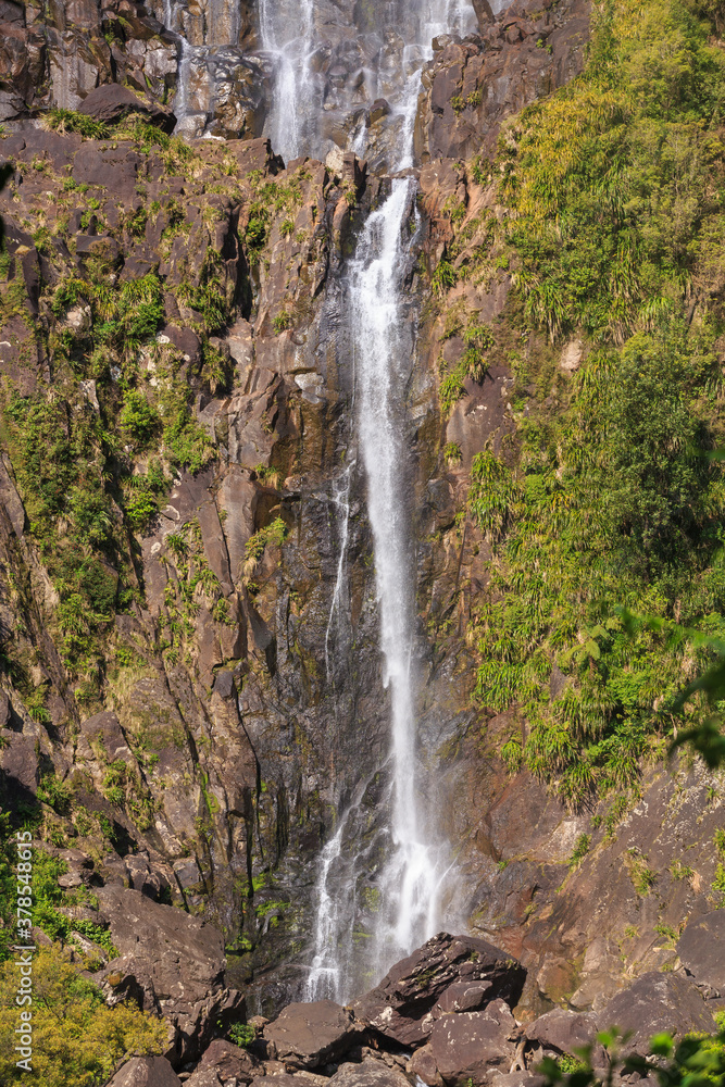 Wairere Falls, the tallest and one of the most attractive in New Zealand's North Island, cascading down a rock face in the Kaimai Mountains
