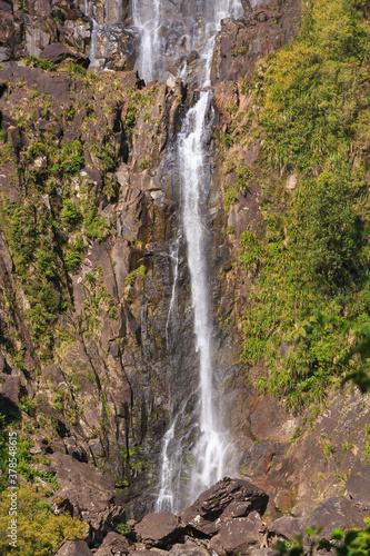 Wairere Falls  the tallest and one of the most attractive in New Zealand s North Island  cascading down a rock face in the Kaimai Mountains
