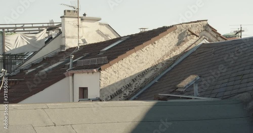 Eurasian Red Squirrel jumping between roofs photo